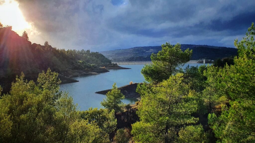 Forest trail overlooking a dam in Cyprus during a hike